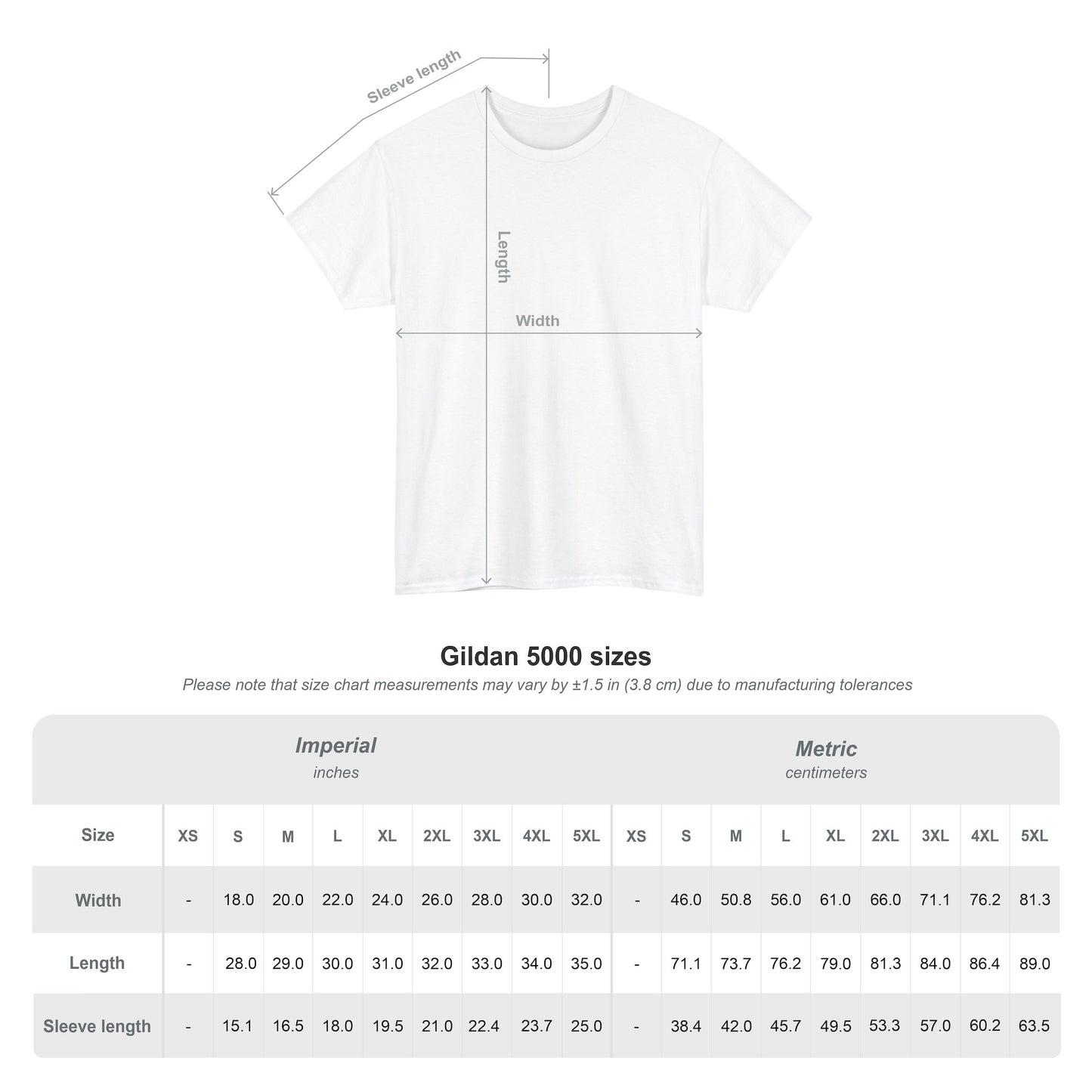 Funny Accounting T-Shirt – “The Numbers Are Right” | Beyond Digits Collective