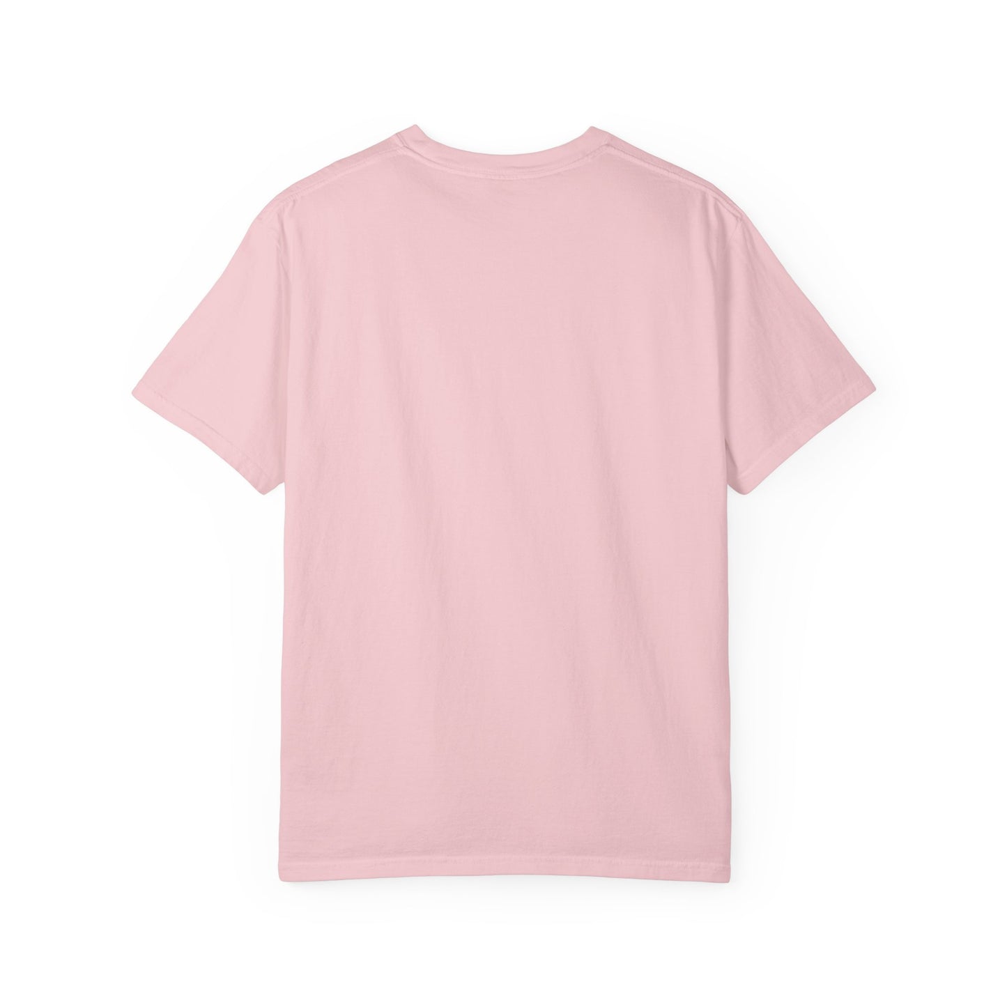 Accounting Shirt — "Balanced Accounts, Balanced Wine" Garment-Dyed T-Shirt